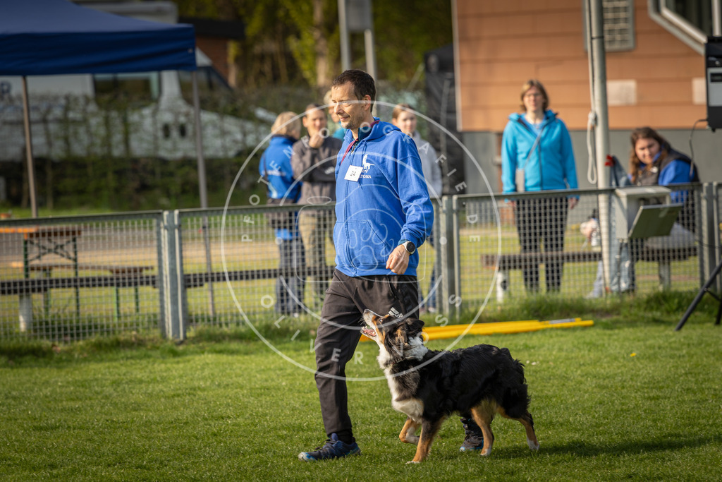 Pfotenfotografie_DV3A4822 | Hundefotografie, Tierfotograf, Pfotenfotografie, Fotoshooting Hund, Hunde Portrait, Hundesport, Hundeportraits, Heideshooting, Hunde, Sportfotograf, Hundefotograf, Turnierhundsport, THS,  - Realisiert mit Pictrs.com