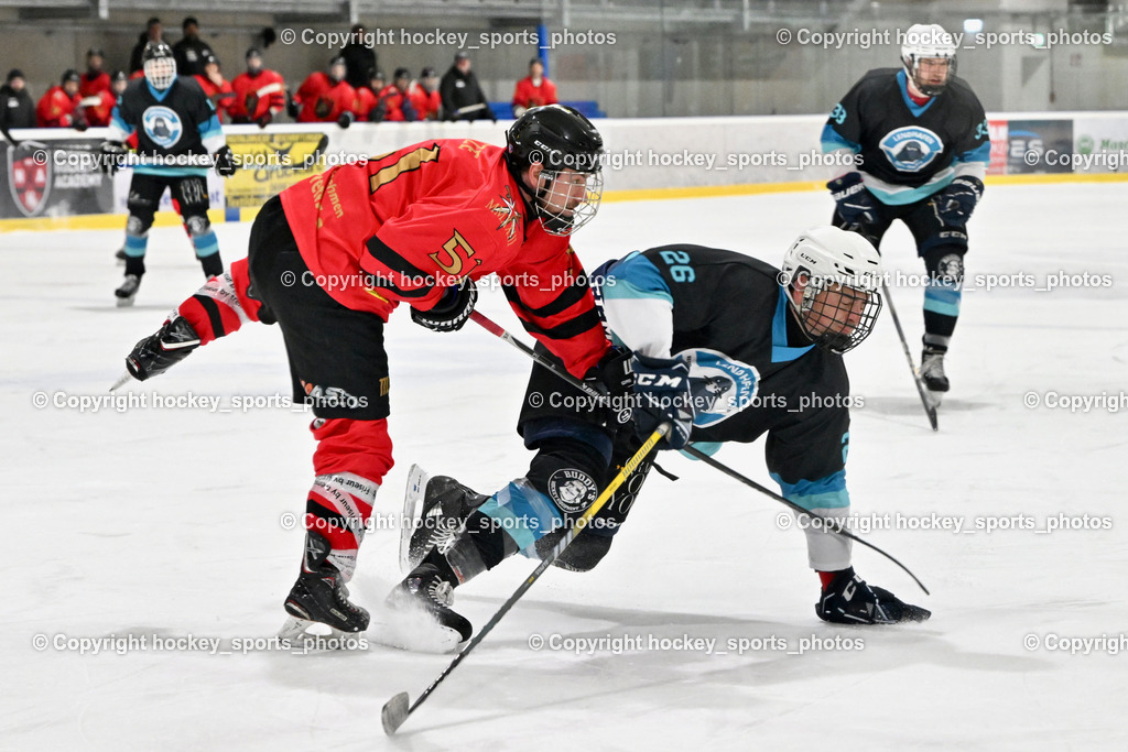 Lendhafen Seelöwen vs. Spartans Althofen | #51 Titze Lukas Spartans Althofen, #26 Miskovez Alexej Lendhafen Seelöwen, Lendhafen Seelöwen vs. Spartans Althofen, Lendhafen Seelöwen vs. Spartans Althofen am 14.02.2025 in Ferlach (HTC Eishalle Ferlach), Austria, (Photo by Bernd Stefan)