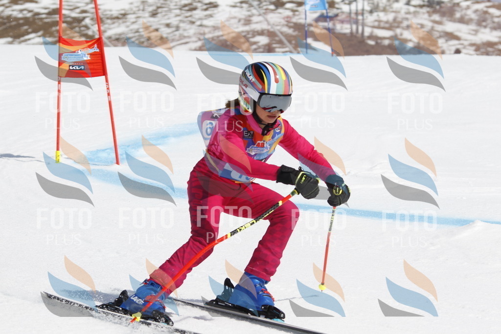 _U3G1351 | holidayphoto