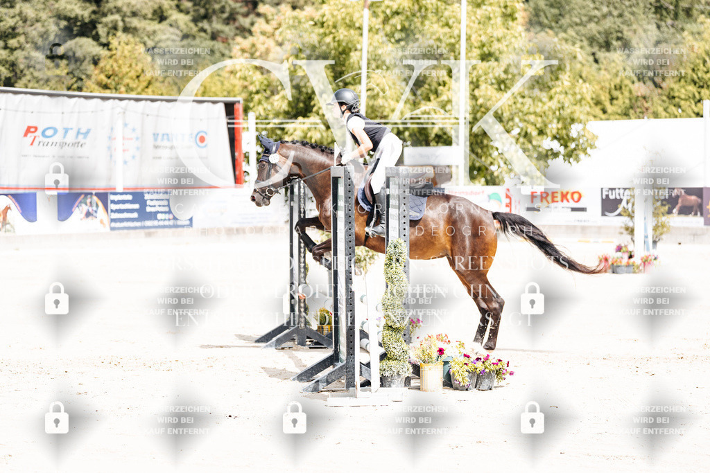 CK906336 | Turnierfotografie Pferdefotografie Trier Rheinland-Pfalz Pferdesport Reitsport Tierfotografie Sportfotografie Pferdevideo Pferdevideografie Equestrianvideography equestrianphotography  - Realisiert mit Pictrs.com
