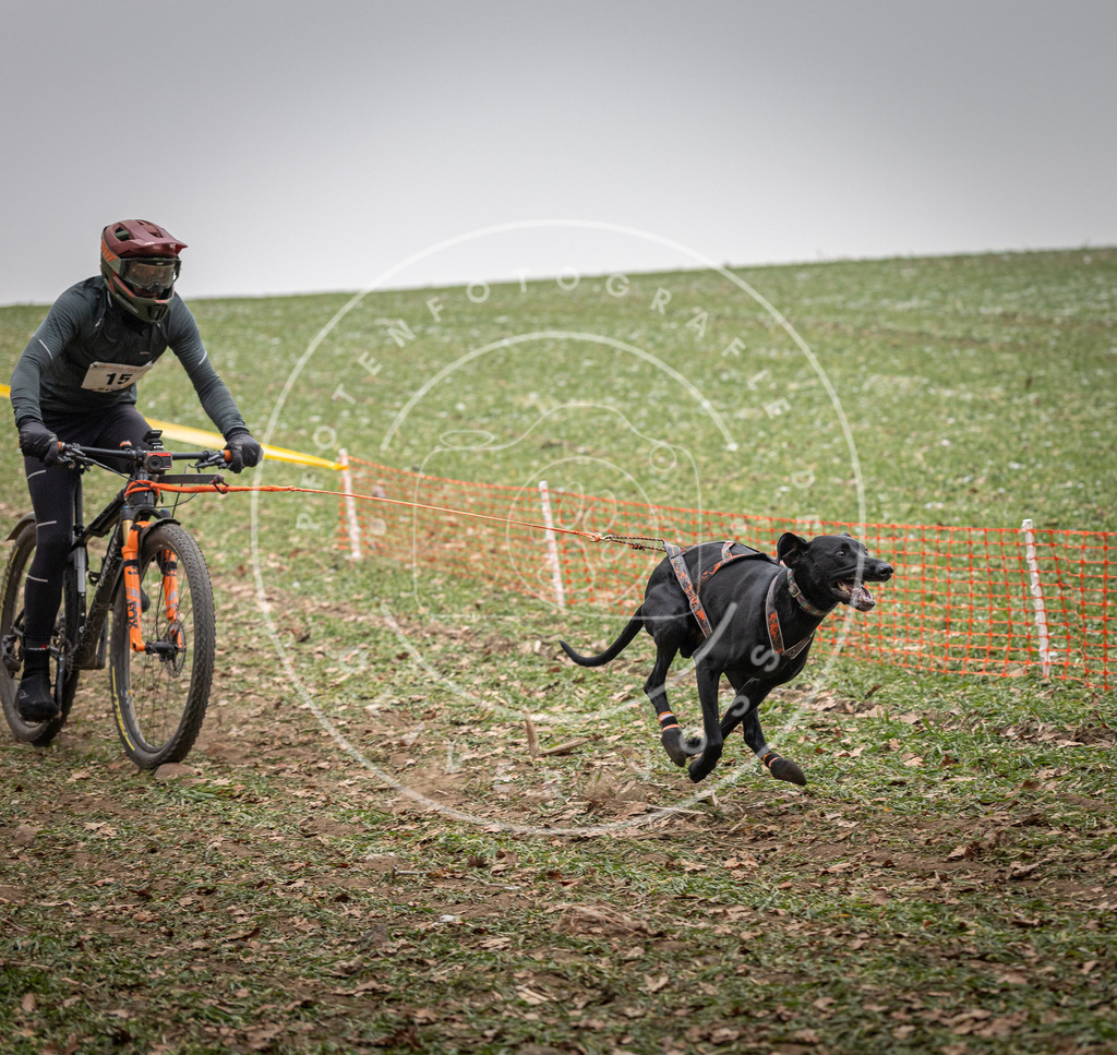Pfotenfotografie_DV3A2421 | Hundefotografie, Tierfotograf, Pfotenfotografie, Fotoshooting Hund, Hunde Portrait, Hundesport, Hundeportraits, Heideshooting, Hunde, Sportfotograf, Hundefotograf, Turnierhundsport, THS,  - Realisiert mit Pictrs.com