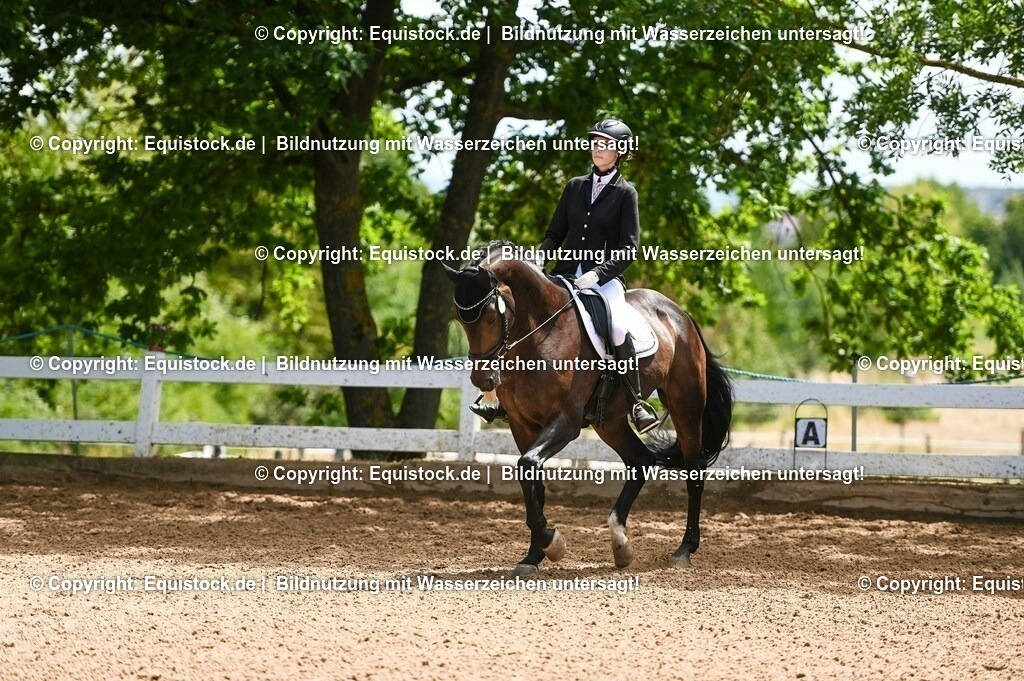 20230716_03_Dressurprfg. Kl.L - Tr._0556 | equistock