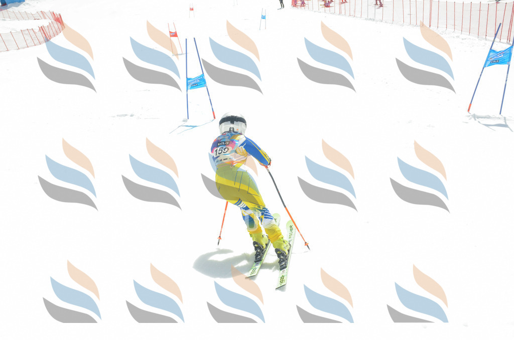 _ELE6418 | holidayphoto