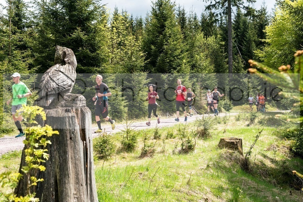 Rennsteiglauf 2019 | Marathon Neuhaus/Rwg. - Schmiedefeld am 18. Mai 2019