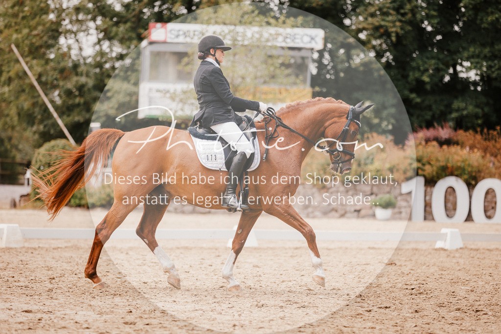 3I6A6012 | Stimmungsvolle Portraits und Reitsportfotografie im Ruhrgebiet und im Münsterland.

Pferdefotografie, Hundefotografie, Tierfotografie, Reportagen, Portraits von Tier und Mensch, Turnierfotografie in Bochum, Recklinghausen, Marl, Haltern am See, Dülmen.. - Realisiert mit Pictrs.com
