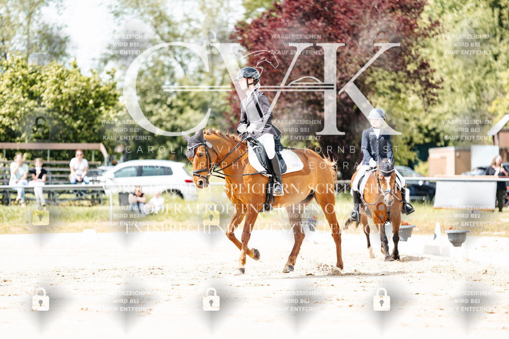 CK901729 | Turnierfotografie Pferdefotografie Trier Rheinland-Pfalz Pferdesport Reitsport Tierfotografie Sportfotografie Pferdevideo Pferdevideografie Equestrianvideography equestrianphotography  - Realisiert mit Pictrs.com