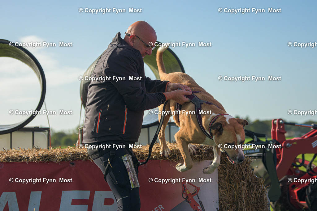 DSC_0588 | Hallo und herzlich Willkommen auf meiner Shop-Seite Fynn Most.

Ich wünsche Dir viel Spaß beim stöbern durch die Bilder, wenn Du Fragen hast oder Bilder vermisst, kannst du mir gerne eine Nachricht schreiben. - Realisiert mit Pictrs.com