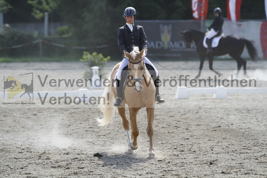 _MG_2171 | equestrian-live-com