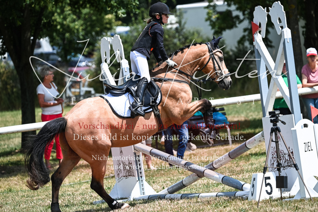 DSC_9719 | Pferde- und Turnierfotografie in Westsachsen. Pferdeportraits, Auftragszeichnungen und intuitive Kunst.
