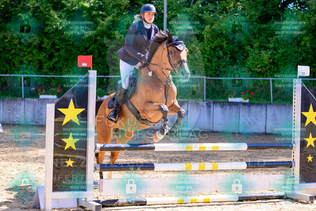 29082026-Giesenbach-Prfg10-0319 | Fokus Hufschlag Fotografie - Realisiert mit Pictrs.com