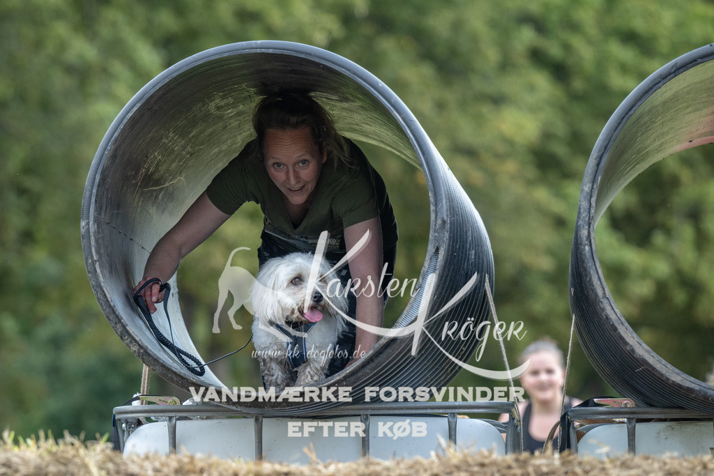 1029_ZZ92239 | kk-dogfotos