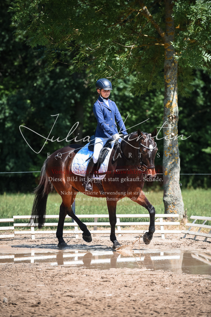 DSC_3342 | Pferde- und Turnierfotografie in Westsachsen. Pferdeportraits, Auftragszeichnungen und intuitive Kunst.