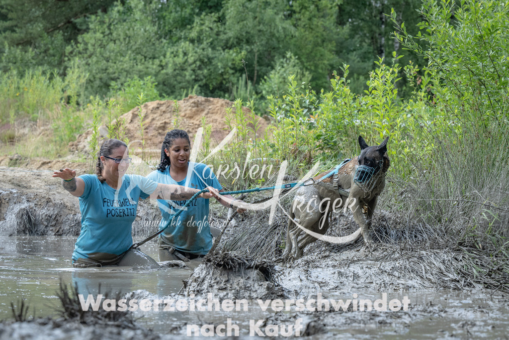 1017_ZZ91636 | kk-dogfotos