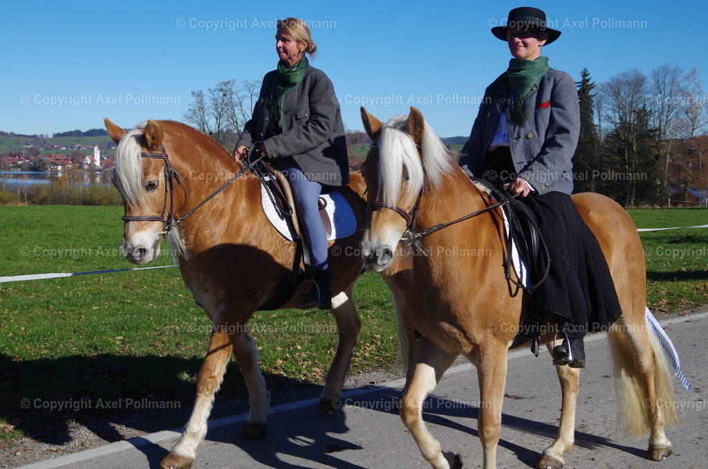 IMGP8478 | fotografiert von Axel PollmannLeonhardi Wallfahrt Benediktbeuern und Murnau, Fronleichnam, Fasching, Landschaft im Loisachtal und Benediktbeuern  - Realisiert mit Pictrs.com