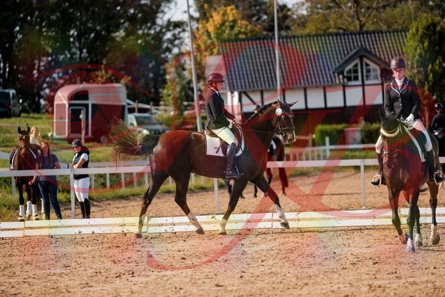 2026_10_03_Siefer-Hof_132041_Z63_81240380 | Professionelle Reitsport-, Turnier- und Eventfotografie von Robert Broda. Galerien mit ausgewählten und bearbeiteten Bildern direkt online ansehen und bestellen.