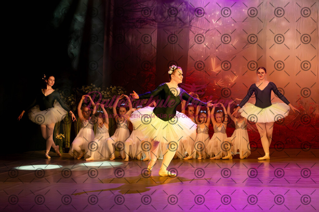 Ballettaufführung-594 | Bildershop Lem'n Entertainment - Realisiert mit Pictrs.com