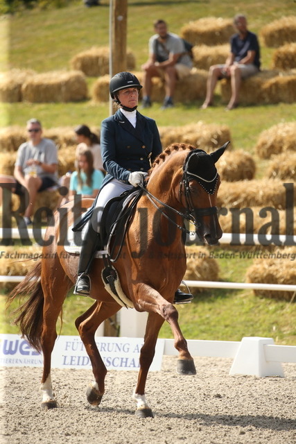 Birkhof_2022_GrandPrixSpecial_Nicole Casper_Birkhof_s Don Röschen FBW(1) | Alle Fotos der Reiterjournal Fotografin Doris Matthaes im Reiterjournal Online-Fotoshop. - Realisiert mit Pictrs.com