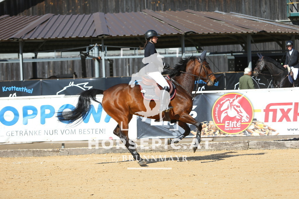 DL2Q4403 | Willkommen bei Brunnmayr - Design & Fotografie – Ihrem Spezialisten für Reitturniere und Pferdeveranstaltungen in Oberösterreich, Salzburg und Bayern! Seit über 17 Jahren sind wir leidenschaftlich dabei.