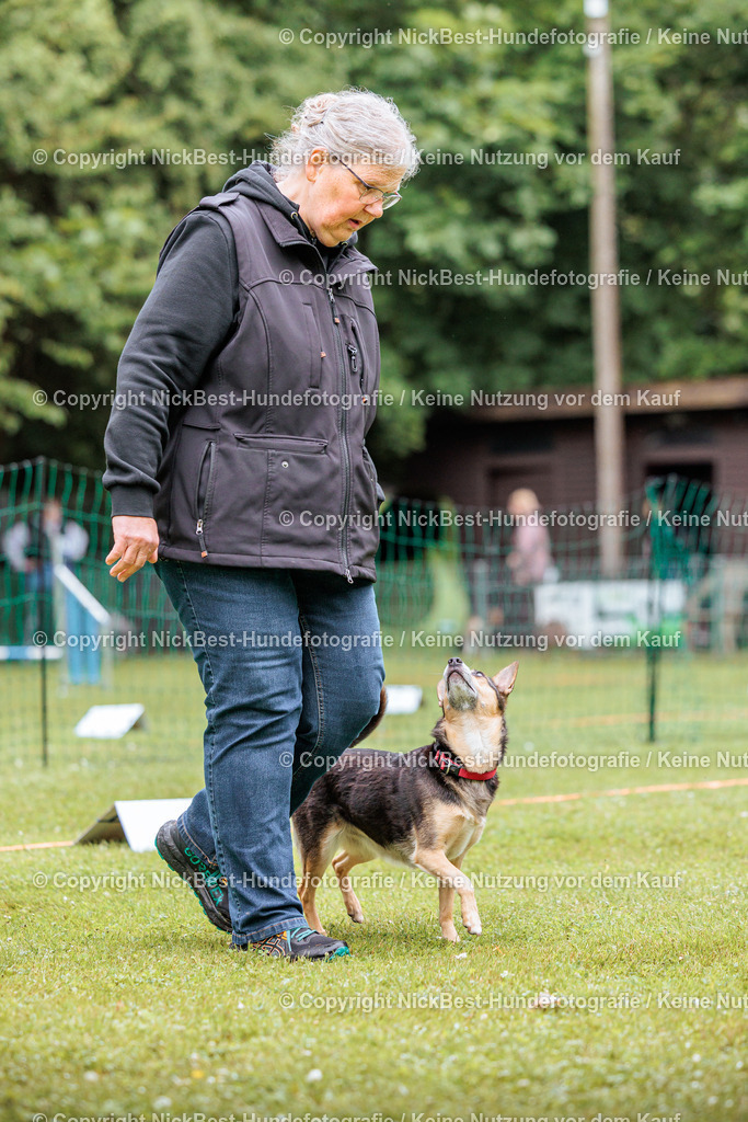 RO-Blumenthal-2026-Nickbest-Hundefotografie-4531 | Dein Hund! Dein Moment! Deine Erinnerungen! Hundefotografie in Bremen Blumenthal. Ich fange die besonderen Momente deines Vierbeiners ein – ob Indoor mit Blitzanlage oder in der freien Natur. Sicher dir dein Moment und dein Termin für eure Erinnerungen.