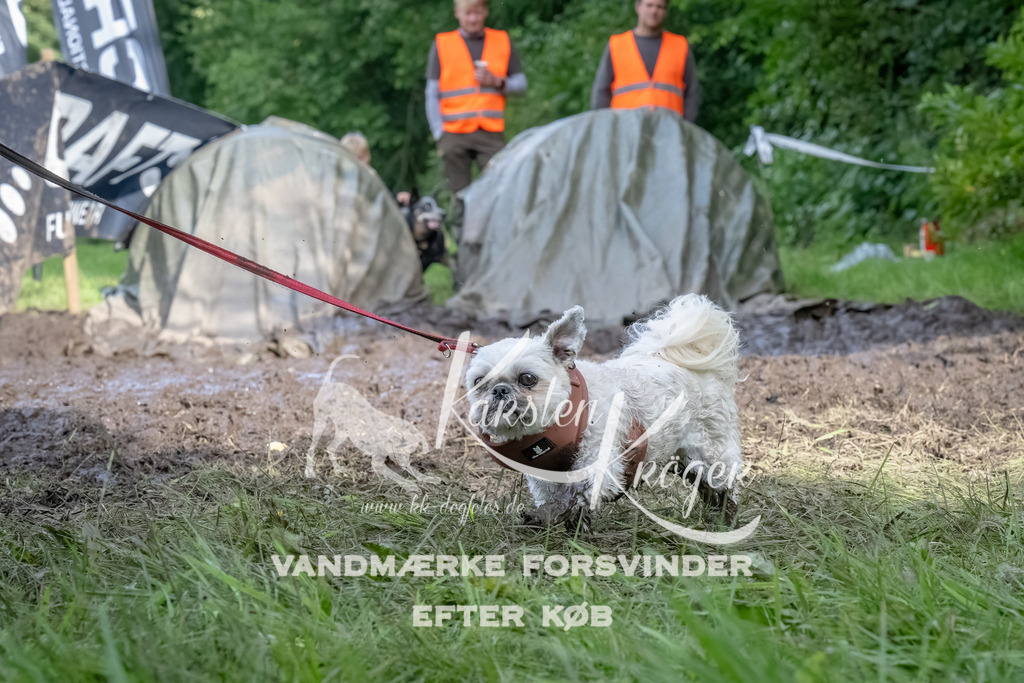 1740_ZZ93106-Bearbeitet | kk-dogfotos