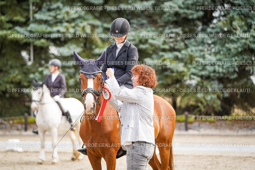 DSC02337 | Pferdegrafie