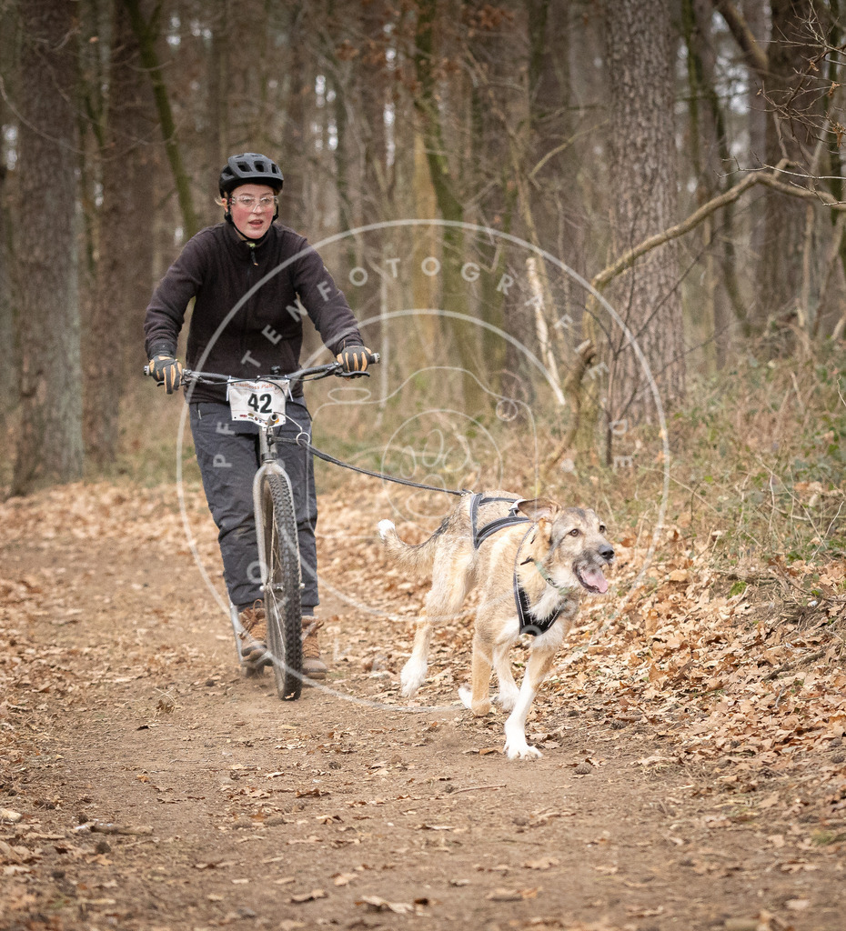Pfotenfotografie_DV3A6958 | Hundefotografie, Tierfotograf, Pfotenfotografie, Fotoshooting Hund, Hunde Portrait, Hundesport, Hundeportraits, Heideshooting, Hunde, Sportfotograf, Hundefotograf, Turnierhundsport, THS,  - Realisiert mit Pictrs.com