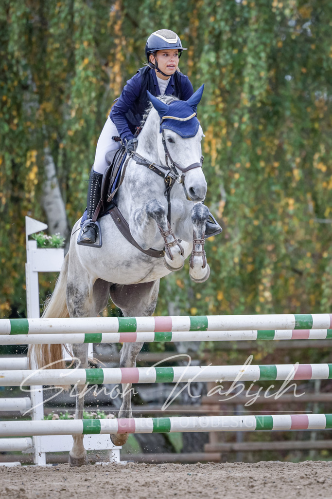 20251012-_3LI4545 | Tierfotografie Pferde, Hunde, Katzen, Haustiere.
Turnierfotografie Reitturniere, Reiten, Springreiten, Dressur in Hanau, dem Main-Kinzig-Kreis und dem Rhein-Main- Gebiet um Frankfurt