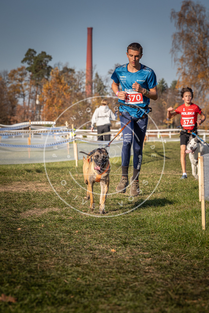 CaniXpix_0L8A8088 | Hundefotografie, Tierfotograf, Pfotenfotografie, Fotoshooting Hund, Hunde Portrait, Hundesport, Hundeportraits, Heideshooting, Hunde, Sportfotograf, Hundefotograf, Turnierhundsport, THS,  - Realisiert mit Pictrs.com