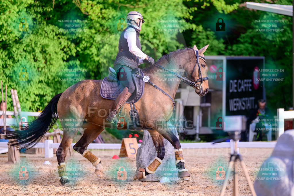 02052026-Giesenbach-03-Speedtrail-0941 | Fokus Hufschlag Fotografie - Realisiert mit Pictrs.com