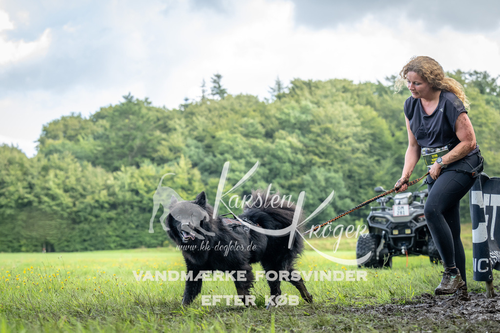 1154_ZZ90245 | kk-dogfotos