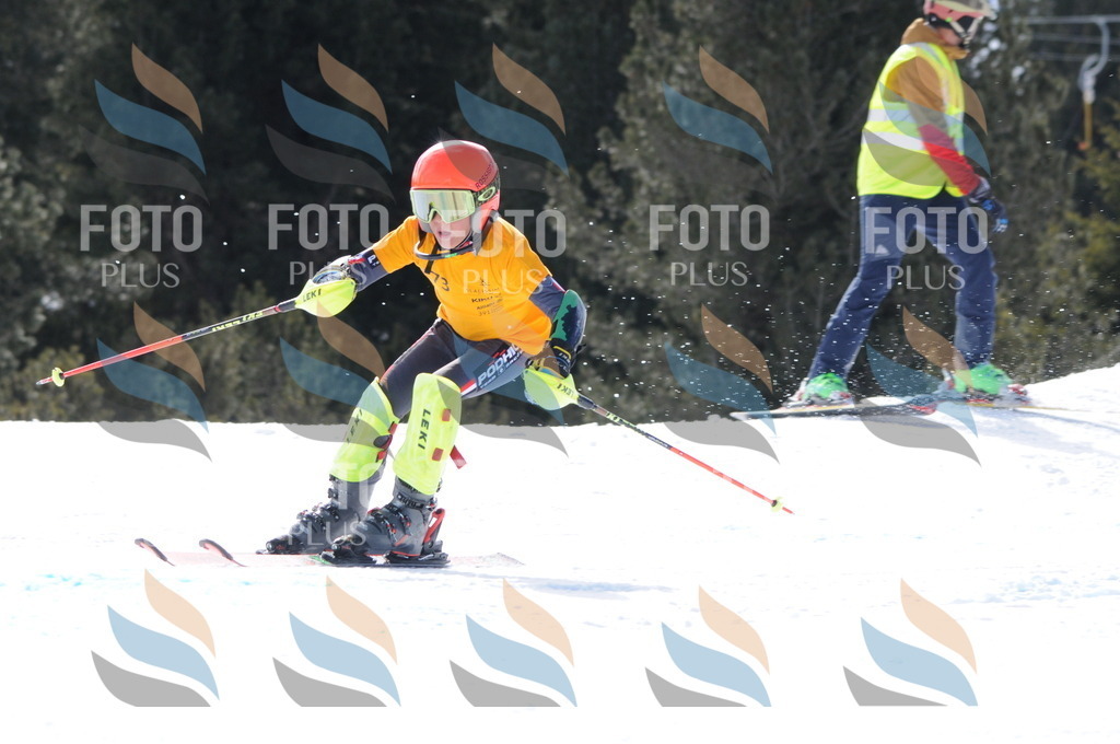 C9108 | holidayphoto