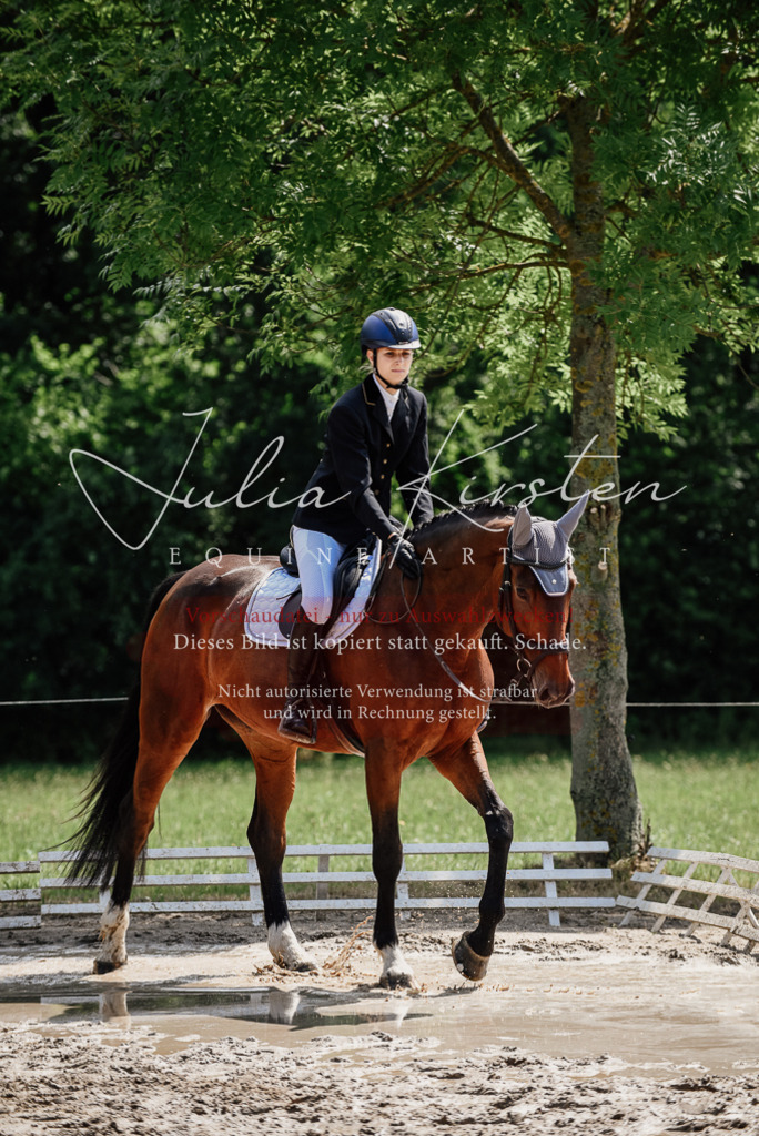 DSC_1110 | Pferde- und Turnierfotografie in Westsachsen. Pferdeportraits, Auftragszeichnungen und intuitive Kunst.