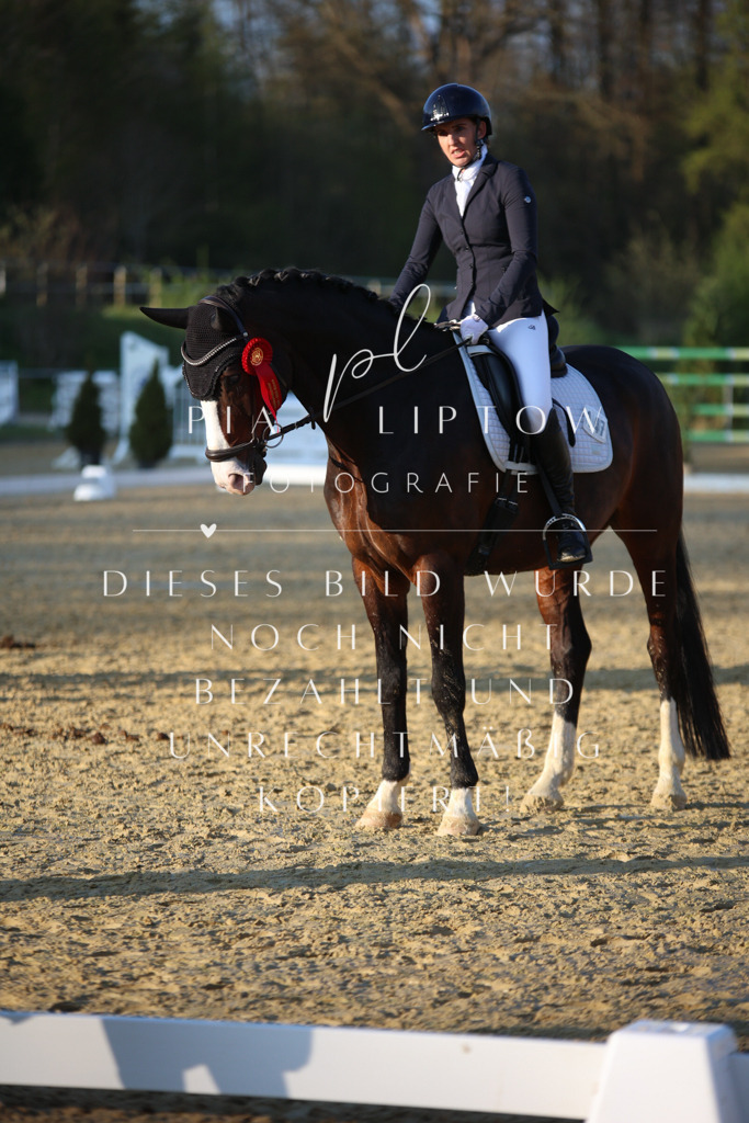 IMGT9323 | pl-fotografie