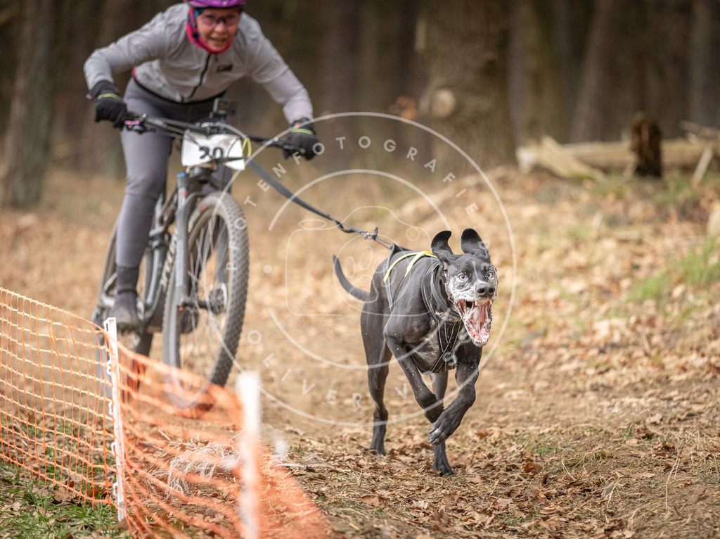Pfotenfotografie_DV3A2555 | Hundefotografie, Tierfotograf, Pfotenfotografie, Fotoshooting Hund, Hunde Portrait, Hundesport, Hundeportraits, Heideshooting, Hunde, Sportfotograf, Hundefotograf, Turnierhundsport, THS,  - Realisiert mit Pictrs.com