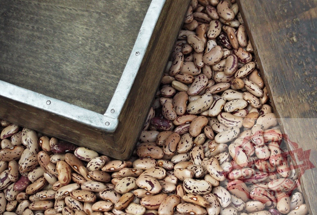 Pinto beans spilling from rustic wooden box | Pinto beans collected in and around a rustic wooden box, ready for cooking - Realisiert mit Pictrs.com