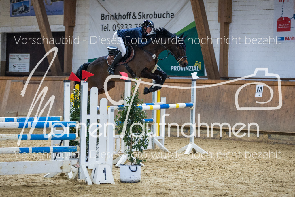 Sth-LPO25-L-Spr-020 | MomenTaufnahmen Pferdesportfotos