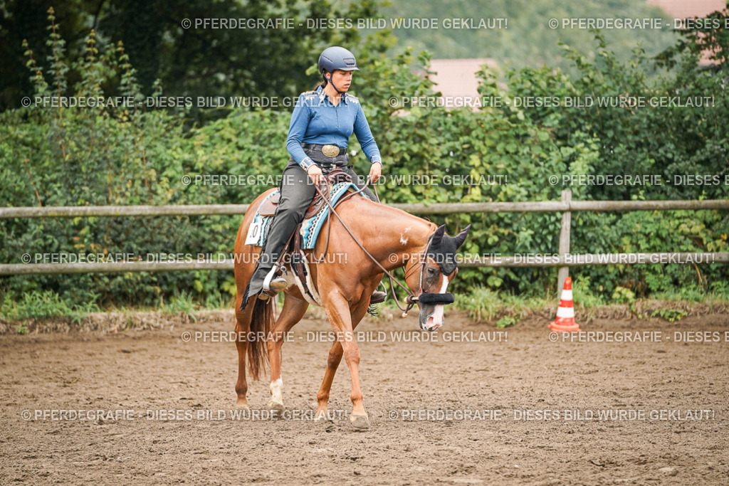 DSC02302 | Pferdegrafie