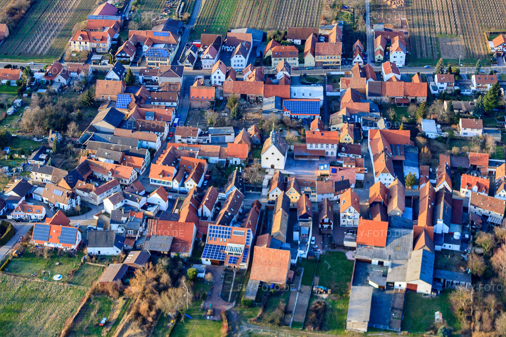 Luftbild: Dorfstr im Ortsteil Dammheim in Landau im Bundesland Rheinland-Pfalz in Deutschland. Foto: IMG_24869.jpg vom 05.03.2010 durch Werner Riehm/FLY-FOTO.de