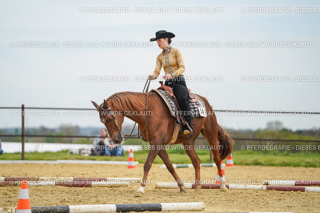 DSC03316 | Pferdegrafie