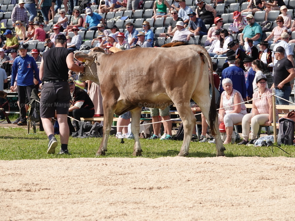 DSC06877 | Schwingen - Realisiert mit Pictrs.com