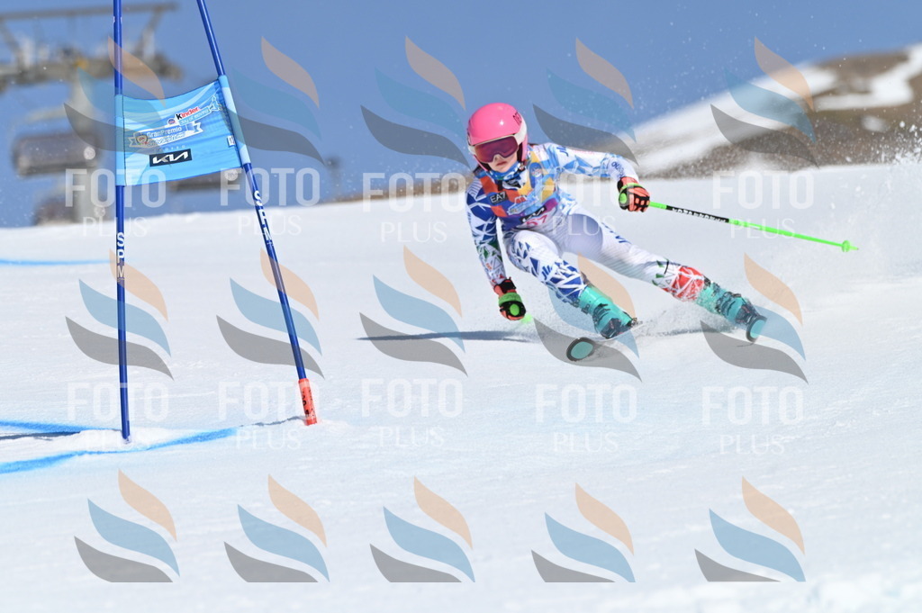 BGV_8666 | holidayphoto