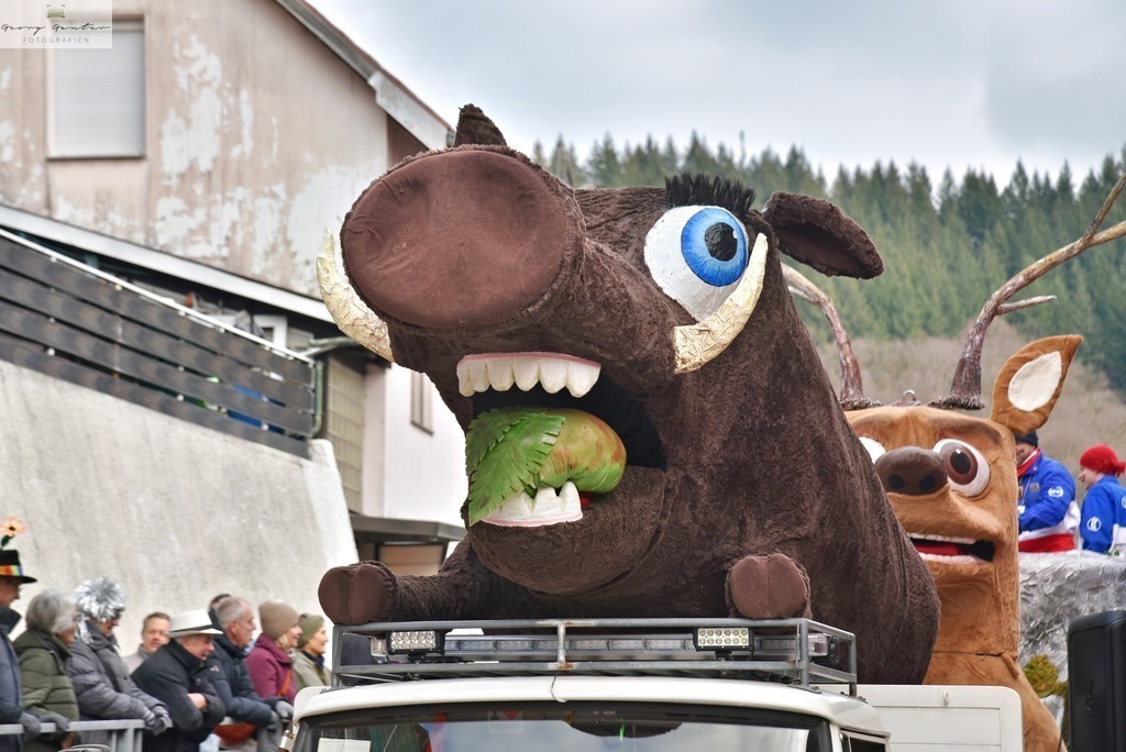 Umzug Sonn  _26-027-RA | Fotoblog Schwarzwald, Foto Blog Wiesental, Pfaffenberg, Winterzauber, Zeller Bergland, Zell im Wiesental, Fotoblog Wiesental, Landschaftsfotos, Bilder Wiesental, Natur, Naturbilder, Fastnacht, Zeller Fastnacht, Zeller Fasnacht, Zeller Bergland, Belchen, - Realisiert mit Pictrs.com
