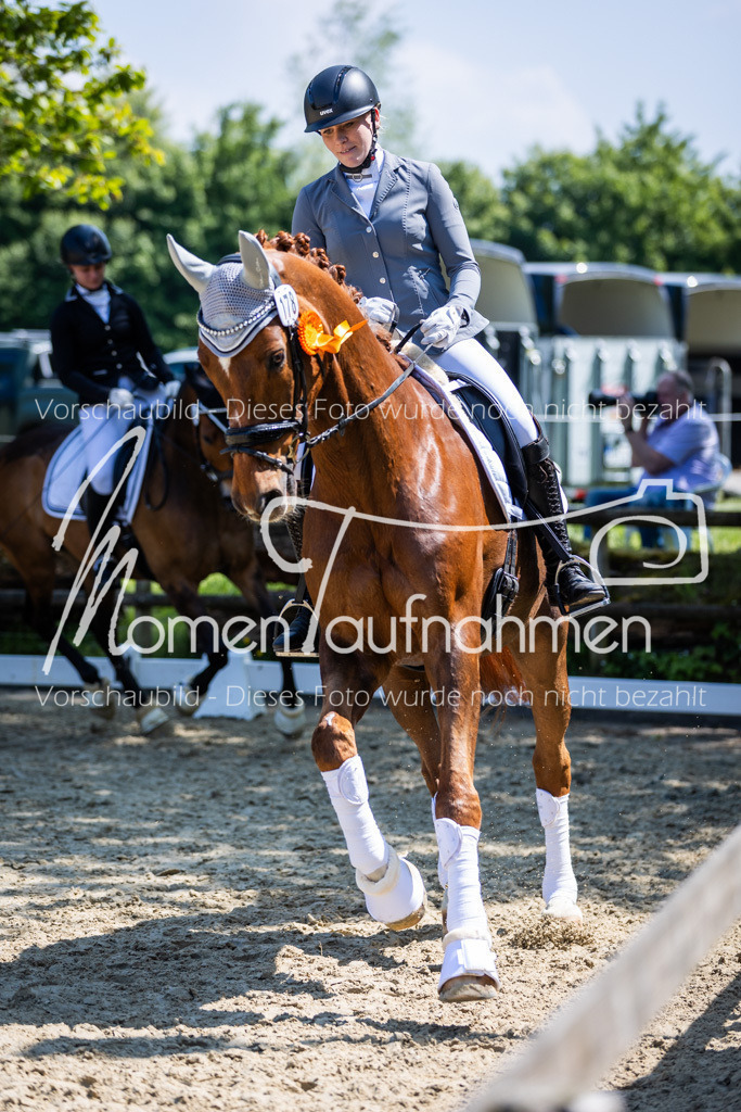 Donop24-L-Dre-135 | MomenTaufnahmen Pferdesportfotos