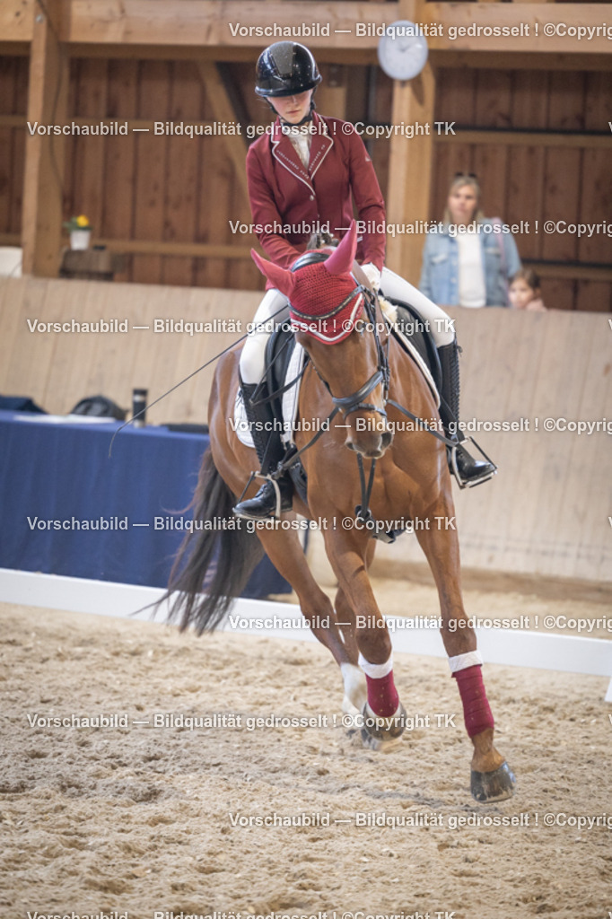 _D5A5568 | Emotionale Pferde- & People-Fotografie rund um Heidelberg, Leimen & Umgebung. Natürliche Fotos von Pferd, Mensch & Familie. Jetzt Termin sichern!