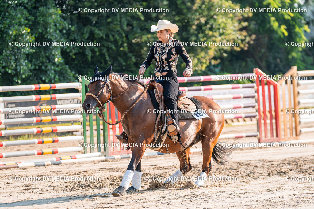 Zeiskam Tag 2-24 | dv-media-shop - Realisiert mit Pictrs.com