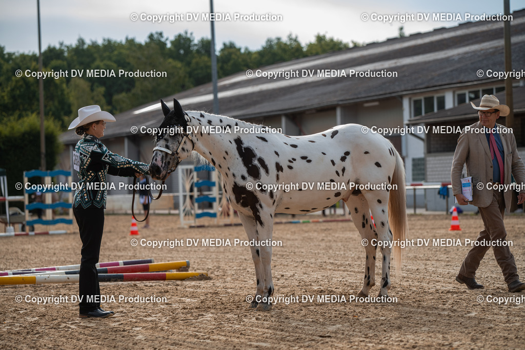 EWP_5591 | dv-media-shop - Realisiert mit Pictrs.com