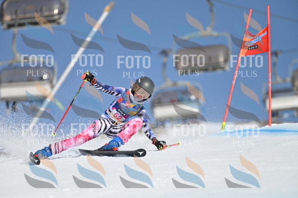 BGV_8564 | holidayphoto