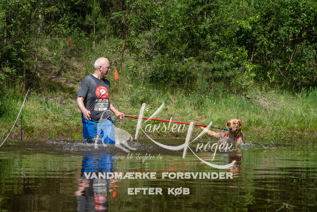 1144DKK990995 | kk-dogfotos