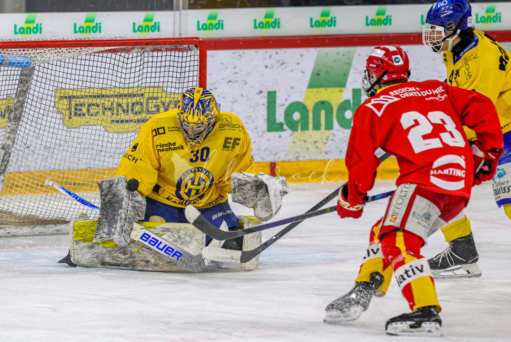 EHCB vs HCD 20262703-9872 | Sportbilder, Sportfotograf, Hochzeits- und Eventfotografin, Flugshows, Portraits und Tiershooting, Aviation, Downhill, Nationalleague, Swissleague, International