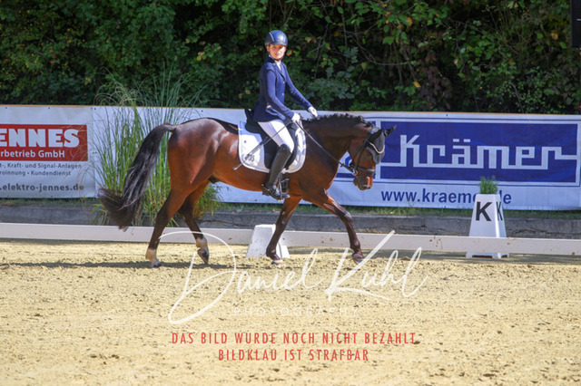 DKP41837 | Turniersportfotografie; Pferdefotografie; Dressurfotografie